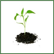 Средствами защиты растений, поставка, обеспечение, продажа