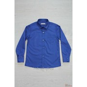 Рубашка синего цвета для мальчика Mackays Т16-311 З фотография