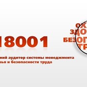 Менеджер и Внутренний аудитор - OHSAS 18001