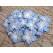 Бумажные цветы «Пуансетия голубая», 20 шт. фото