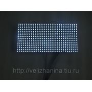 Р-10 белый модуль для бегущей строки фото