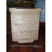 Пчелиный Улей, 12-ти рамочный Дадан без магазинов фото