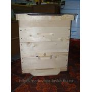 Пчелиный Улей, 12-ти рамочный Дадан с двумя магазинами фото