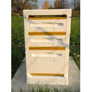 Улий BEEBOX из финляндии Paradise Honey Ltd- Dadant- Blatt