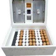 Инкубатор Золушка на 98 яиц (автомат переворот) 12/220В цифровой тирмометр -гигрометр фото