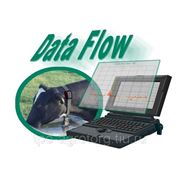 Система управления стадом- DataFlow™ фотография