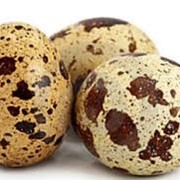 Яйца перепелиные пищевые отборные фотография