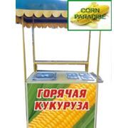 Тележка кукурузоварка. Оборудование для продажи вареной кукурузы в зернах и початках фотография