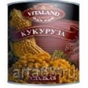 Кукуруза “Виталанд“ сладкая 425мл*12 ж/б фото