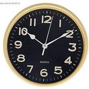 Часы настенные “Вега“ фотография