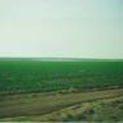 Оросительная гидромелиорация земель фото