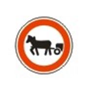 3.8 Движение гужевых повозок запрещено фото