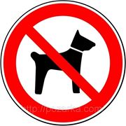 Знак запрещающий ГОСТ Р 12.4.026-2001 Р 14 запрещается вход с животными фото