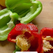 Семена овощей. фото