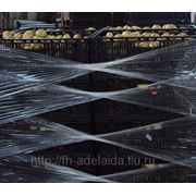 Молодой картофель, столового назначения 2012 фото