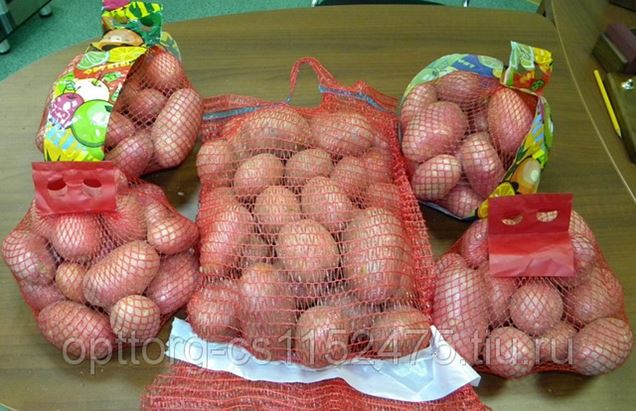 Картофель 5 Кг Купить