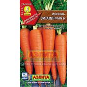 Морковь Витаминная 6 фото