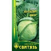 Семена капуста Белокочанная Лангесвит Бевар 0,5 г фото