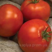 Семена томата Лінда F1 1000 сем. Саката. фото