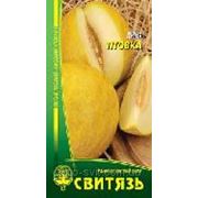 Семена дыня “Тiтовка“, 25нас фото