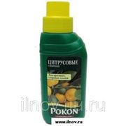 Удобрение для цитрусовых Pokon 250 мл. фото