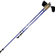Палки для скандинавской ходьбы телескопические CMD Sport Clip (Blue) фото