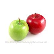 Яблони саженцы (различные) фото