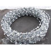 Колючая проволока типа “ЕГОЗА“ СББ 500-50-3 фото