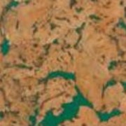 Настенные пробковые покрытия в листах (Сondor Green) Украина, Харьков, Киев, Днепропетровск, Донецк фотография