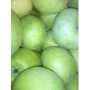 Яблоки сорт "Гренни Смитт" зелёные 60+