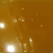 Мед подсолнечниковый фото