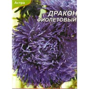 Семена цветочных культур Астра Дракон фиолетовый