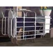 Станции кормления коров автоматические, с идентификацией коров и нормированием кормов фотография