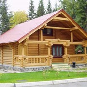 Строительство домов из дерева фото