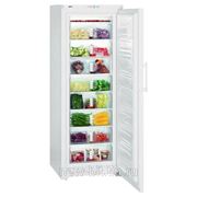 Морозильный шкаф Liebherr G 4013-20 001