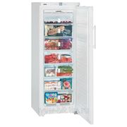 Морозильный шкаф Liebherr GNP 2756-21 001 (no frost) фото