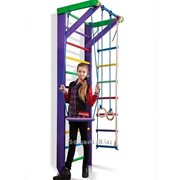 Детский cпортивный уголок «Карусель 2-240» фото