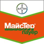 МайсТер®пауер фото