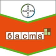 Баста фото
