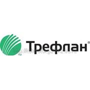 ТРЕФЛАН фото