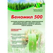 Беномил 500,СП (500 г/кг беномила)