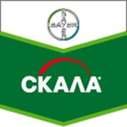 Скала фото