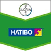 Натіво фото