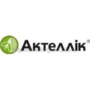 АКТЕЛЛІК фото