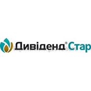 ДИВІДЕНД СТАР фото
