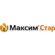 МАКСИМ СТАР фото
