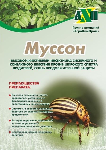 Огурец муссон характеристика и описание сорта - фото
