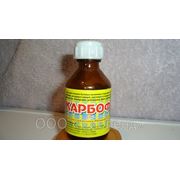 Адреса Где Можно Купить Карбофос
