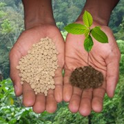 Фуролан удобрение для семян зерновых, зернобобовых, технических и овощных культур