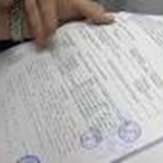 Услуги медицинской справки фото